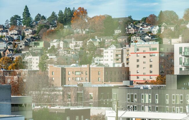 1 bed, 1 bath, 585 sqft, $1,715, Unit 515