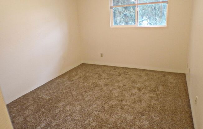 2 beds, 1 bath, 920 sqft, $1,500, Unit 7537-03