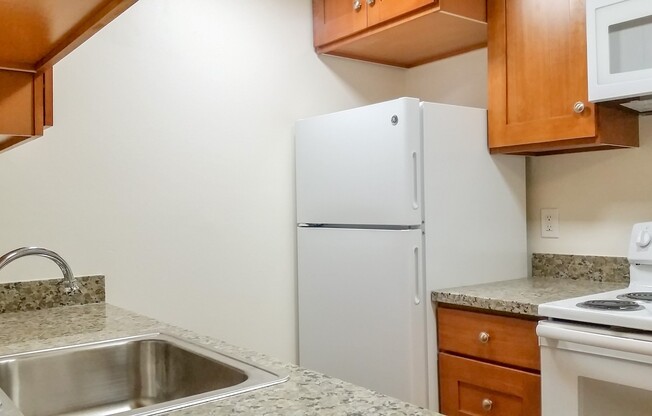 1 bed, 1 bath, 528 sqft, $1,495, Unit 207