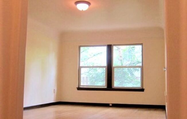 Studio, 1 bath, 515 sqft, $1,445, Unit 101