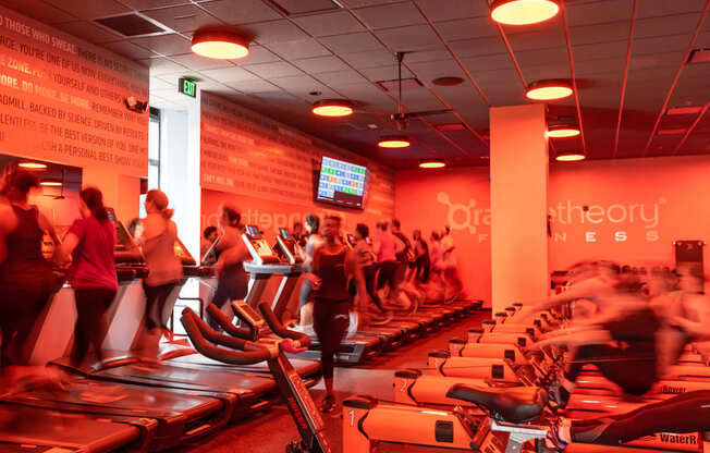A gym with people exercising and treadmills.