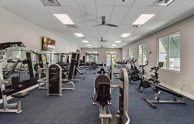 Fitness Center With Modern Equipment at Waterline Bonita Springs, Bonita Springs, FL, 34135