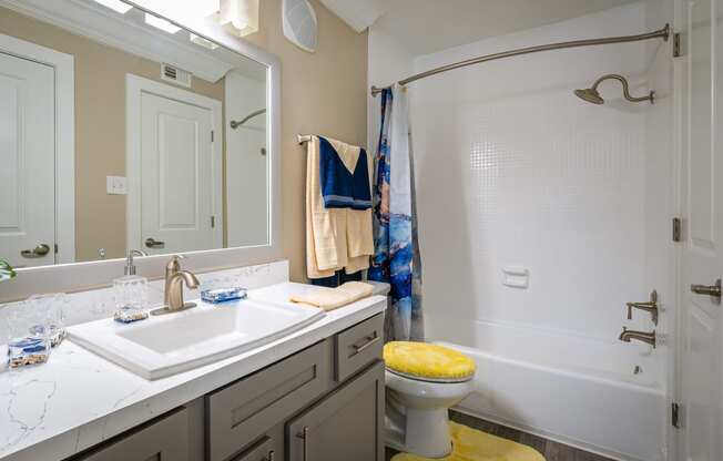 a bathroom with a sink and a toilet and a shower
