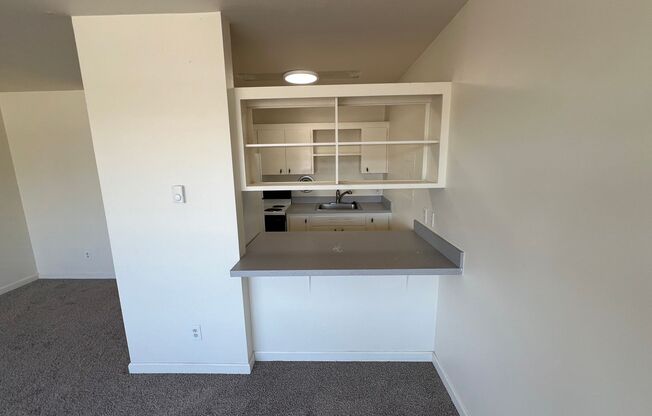 Studio, 1 bath, 300 sqft, $1,445, Unit R-405