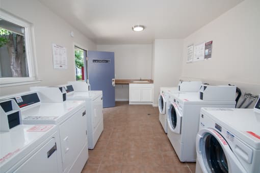 Laundry Facility with multiple washer and dryer machines