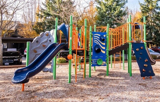 Tacoma Apartments - The Lodge at Madrona Apartments - Playground