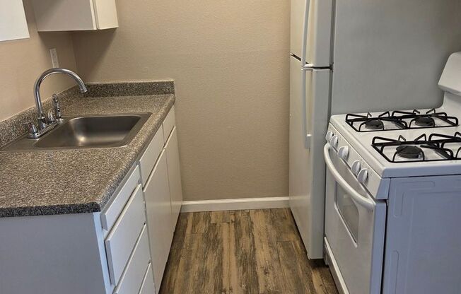 Studio, 1 bath, 409 sqft, $1,249, Unit 58