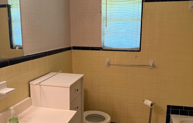 Rainbow City Rental