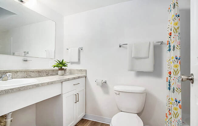 A bathroom with a toilet and a sink with large vanity at West Hampton Park Apartments in Elkhorn, NE 68022