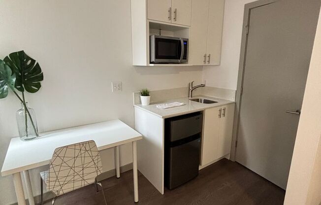 Studio, 1 bath, 167 sqft, $1,059, Unit D101