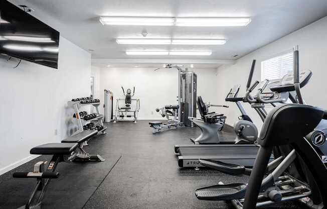 A well-equipped gym with various exercise machines and weights.