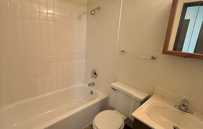 Studio, 1 bath, 300 sqft, $550, Unit 2537-15