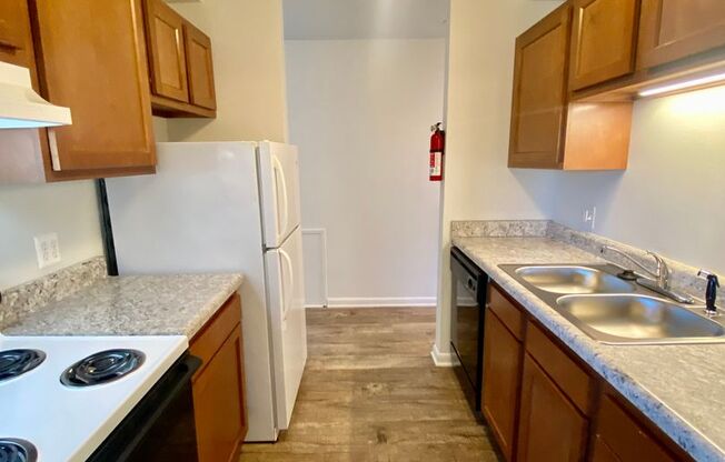 2 beds, 1 bath, 1,000 sqft, $1,295, Unit 301