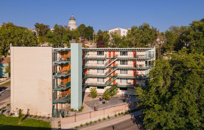 Studio, 1 bath, 445 sqft, $1,199, Unit 207