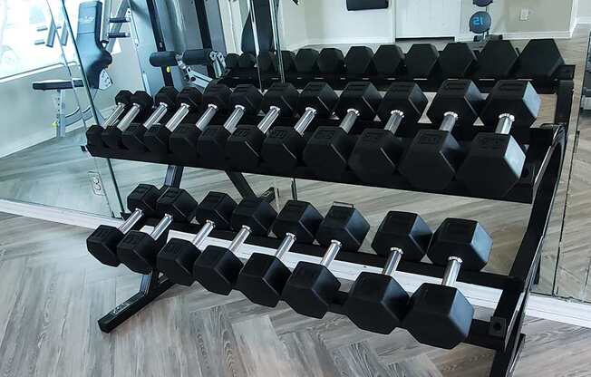 weights at GEORGETOWN PARK, Georgetown, TX, 78628