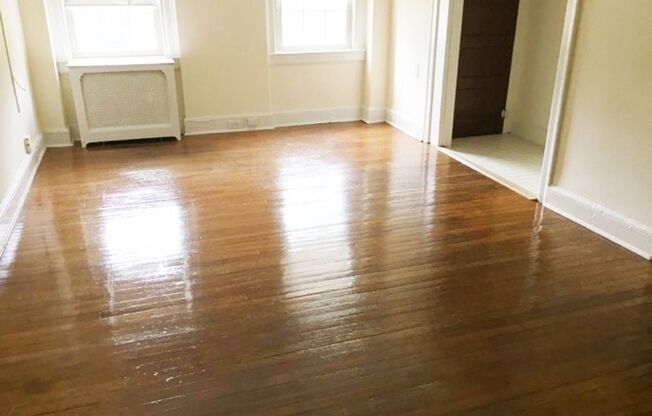 Studio, 1 bath, 400 sqft, $1,250, Unit 114A