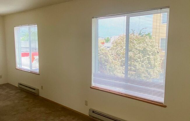 Studio, 1 bath, 462 sqft, $1,395, Unit 202