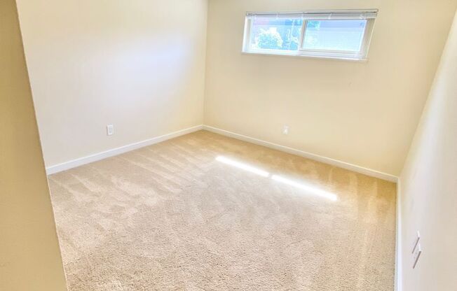 1 bed, 1 bath, 495 sqft, $1,595, Unit 203
