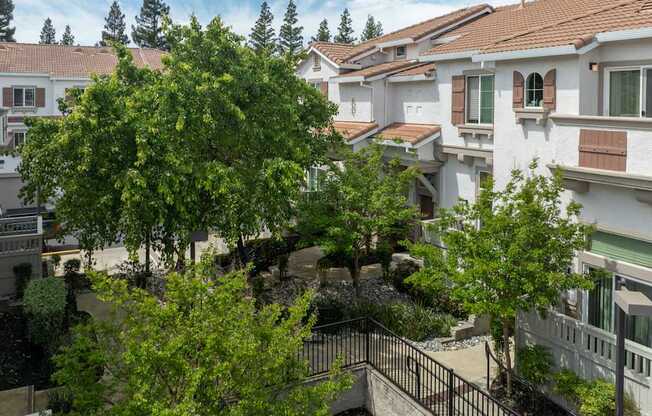 A tree in front of a white building with a black fence.