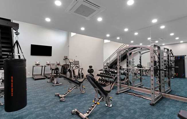 A gym with a variety of equipment including a punching bag.