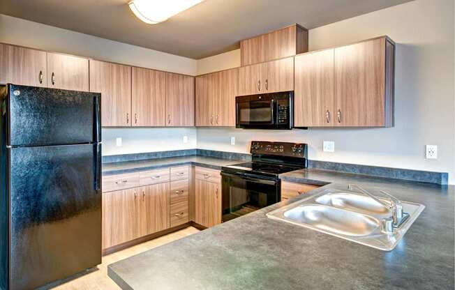 A black refrigerator sits in a kitchen with wooden cabinets and a granite countertop.