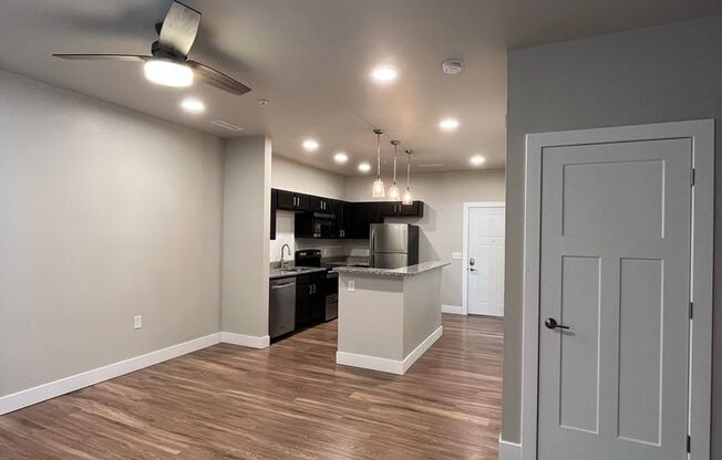 Studio, 1 bath, 539 sqft, $1,300