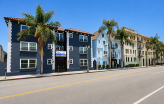 Yucca St 6358