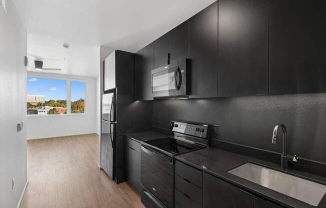 A modern kitchen with black cabinets and stainless steel appliances.