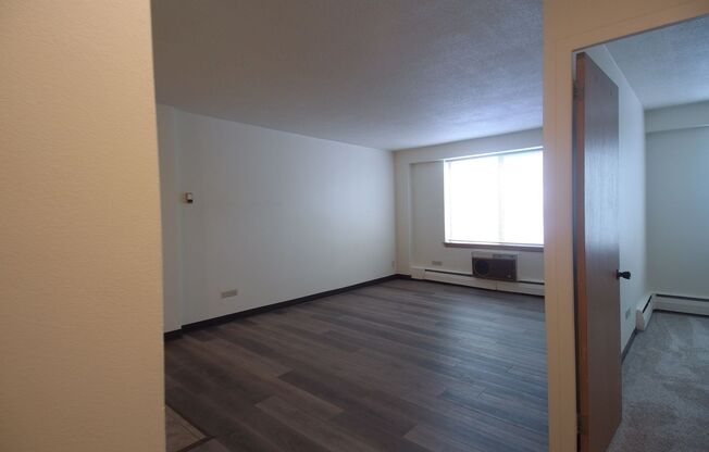 1 bed, 1 bath, 620 sqft, $1,195, Unit 207