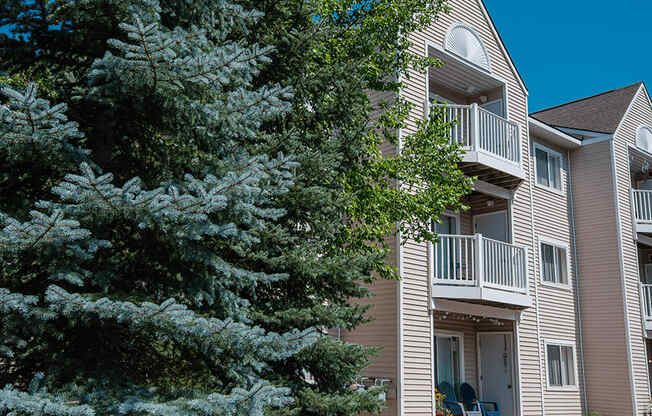 an apartment building with a large tree in front of it