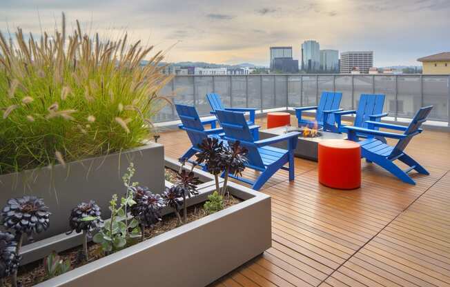 Woodland Hills, CA Luxury Apartments - The Q Variel - Rooftop Terrace with Chairs Around a Fire Pit, Plant Bed with Greenery and Succulent Variety, and City Views