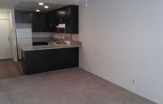 1 bed, 1 bath, 500 sqft, $1,995, Unit 105