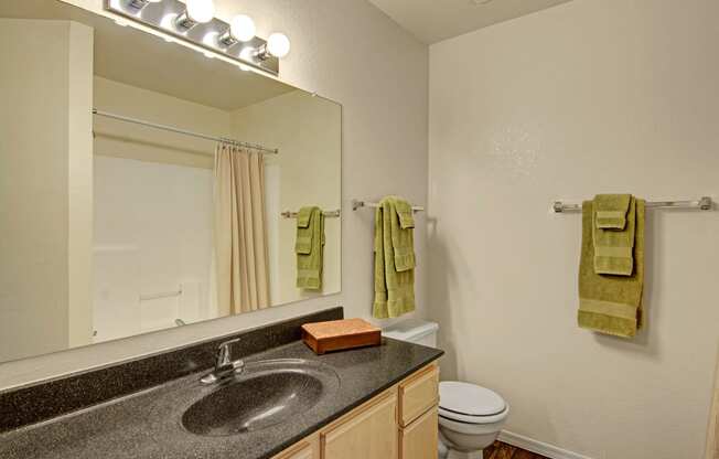 Reserve at Arrowhead Bathroom