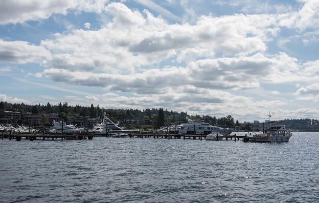 Only a Short Walk to the Lake Washington Waterfront at Tera Apartments, Kirkland, WA