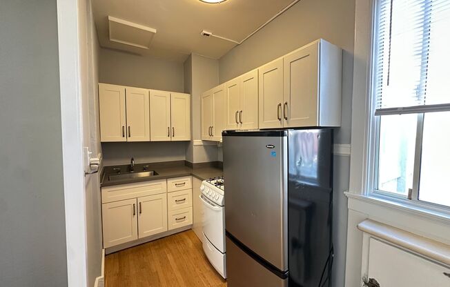 Studio, 1 bath, 309 sqft, $1,595, Unit 508