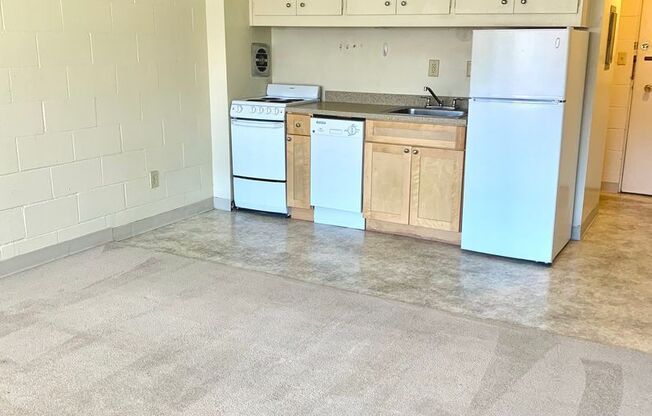 Studio, 1 bath, 302 sqft, $1,100, Unit 104