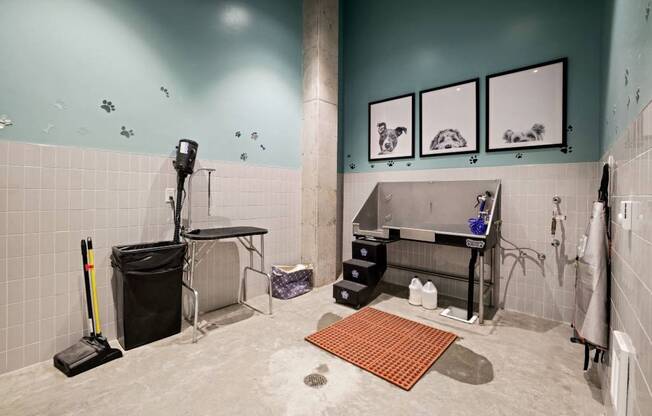 Pet Wash at Riverfront Everett, Washington