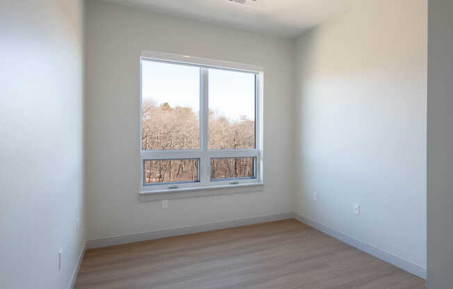 Bedroom with Hard Surface Flooring