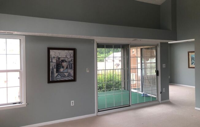 2 Bedroom 2 Bathroom + loft luxury Condo for rent in 21209