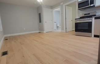 1 bed, 1 bath, 510 sqft, $1,900, Unit 1