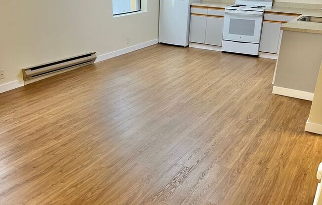 Studio, 1 bath, 393 sqft, $1,295, Unit 318