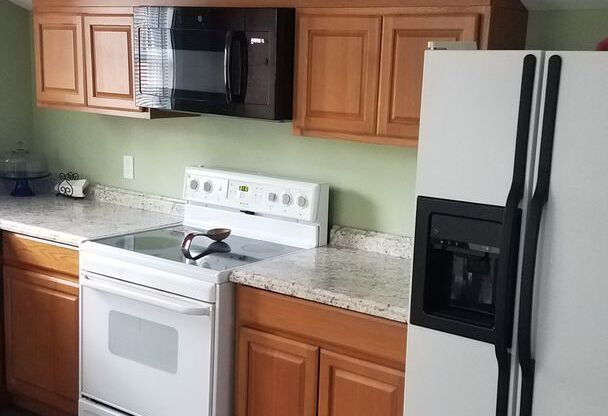 1-Bedroom 1-Bath Fully Furnished Apartment