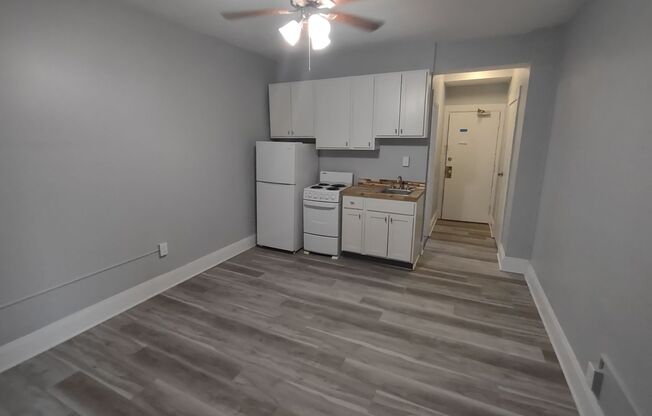 Studio, 1 bath, 250 sqft, $695, Unit 104