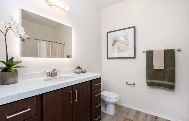 a bathroom with a large mirror and a sink and a toilet