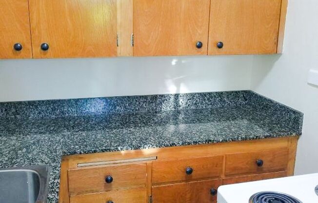 Studio, 1 bath, 365 sqft, $1,195, Unit 204