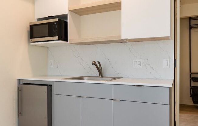 Studio, 1 bath, 310 sqft, $1,395, Unit 405