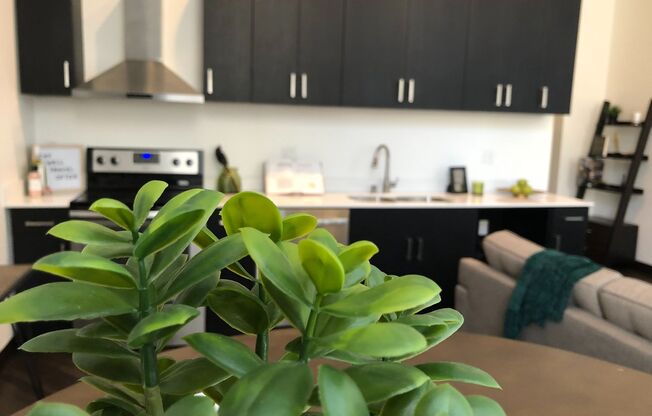 1 bed, 1 bath, 697 sqft, $1,525, Unit 309