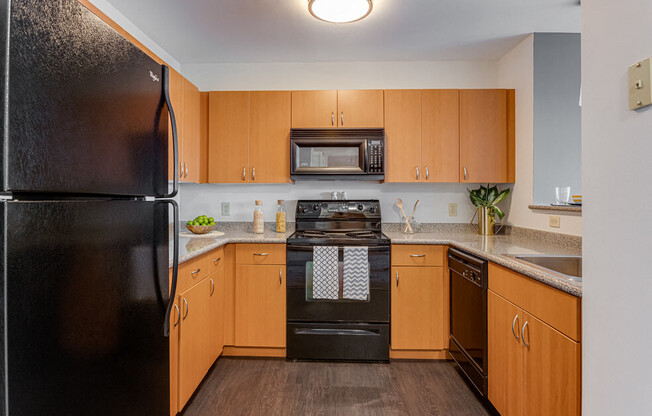 Gallery Photo 37