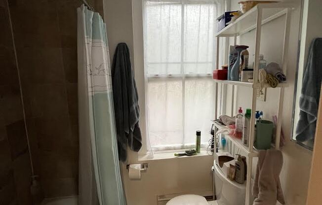 1 bed, 1 bath, $2,640, Unit 16
