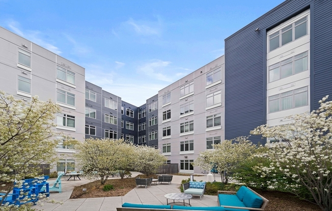 1 bed, 1 bath, 662 sqft, $3,200, Unit 403